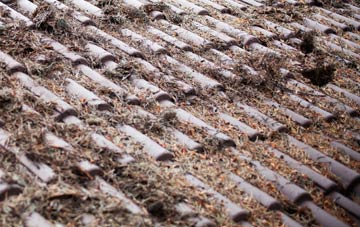 Snitton roof cleaning companies